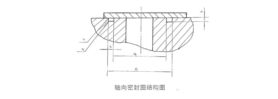 軸向密封圈結(jié)構(gòu)圖