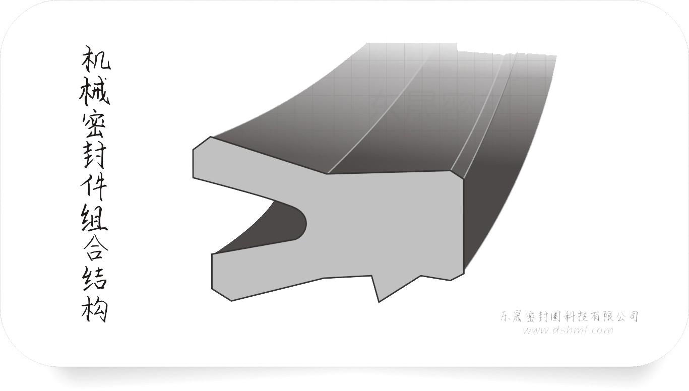 機(jī)械密封件截面設(shè)計(jì)圖