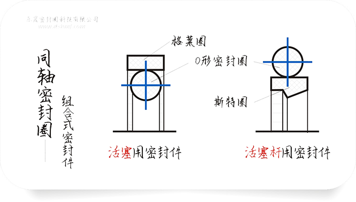 同軸組合密封件圈截面結(jié)構(gòu)平面圖（圖1-1）4