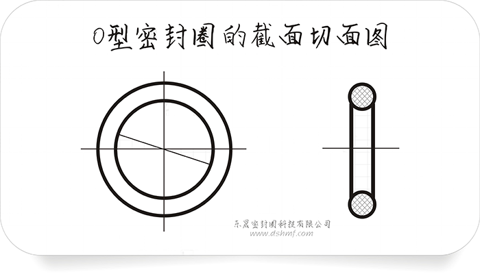 O型密封圈的截面切面圖4