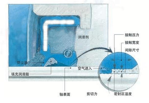 油封（密封件密封圈）密封唇口與旋轉(zhuǎn)軸表面接觸區(qū)4