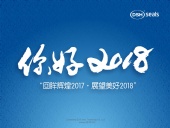 東晟密封件“回眸輝煌2017·展望美好2018！”