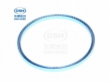 四氟泛塞封(PTFE)